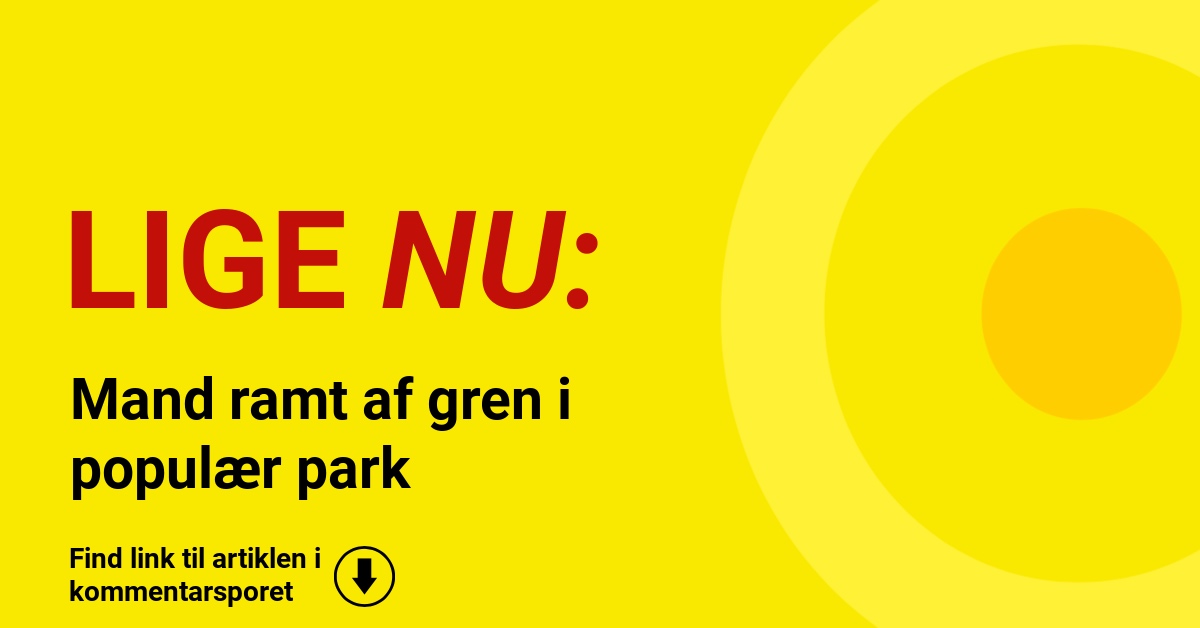Mand ramt af gren i populær park