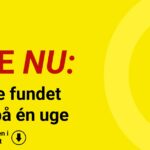 18 ulve fundet døde på én uge