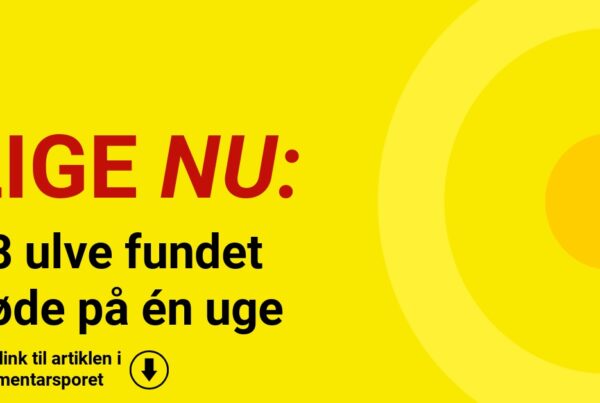 18 ulve fundet døde på én uge