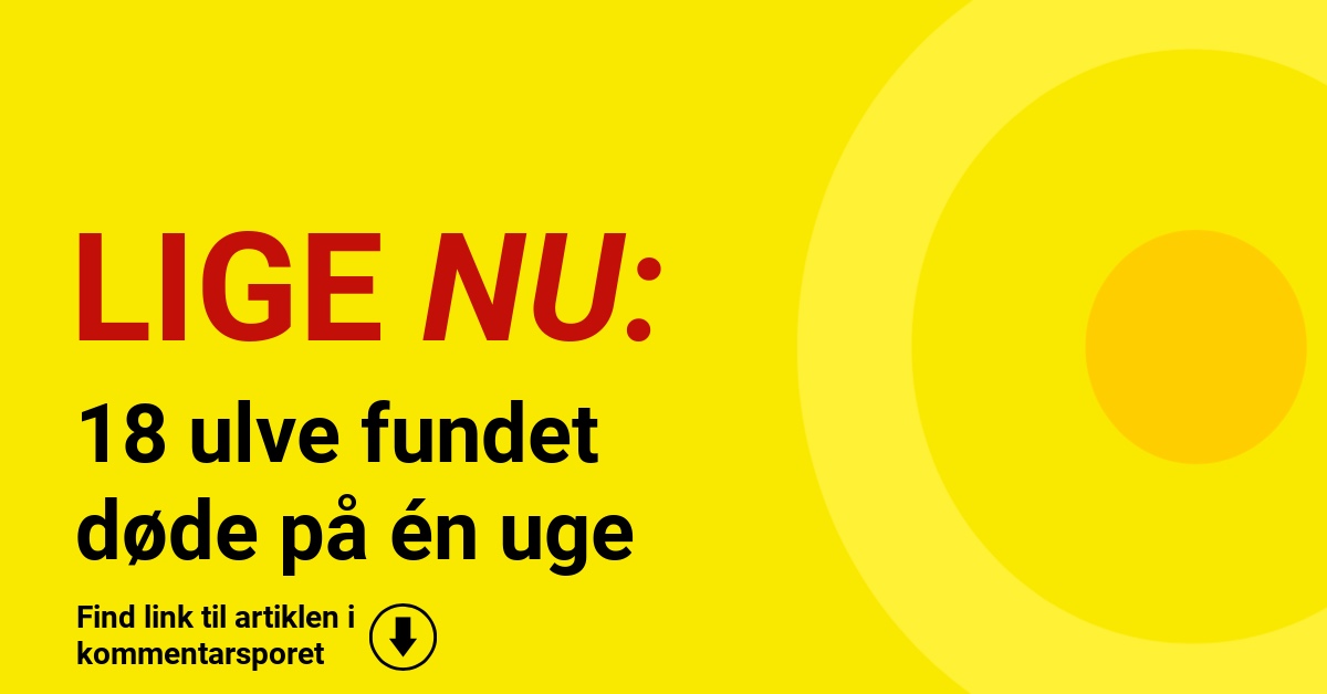 18 ulve fundet døde på én uge