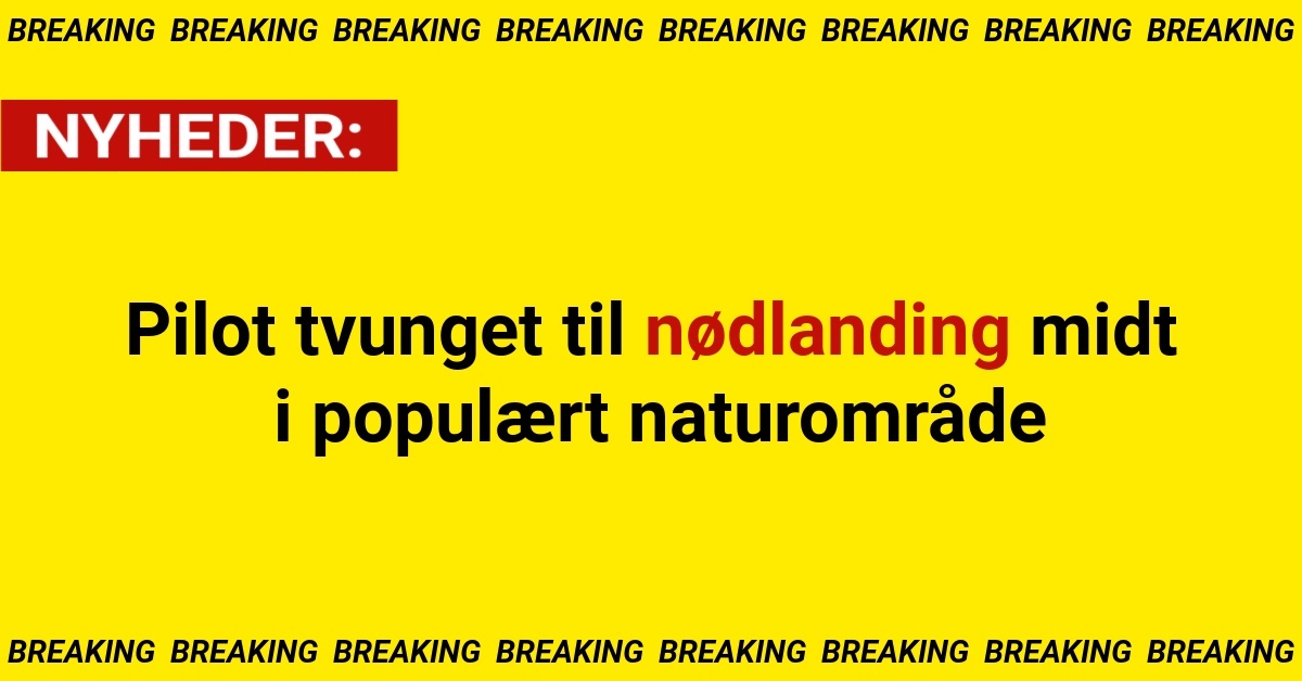 Pilot tvunget til nødlanding midt i populært naturområde