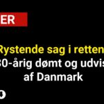 Rystende sag i retten: 30-årig dømt og udvist af Danmark