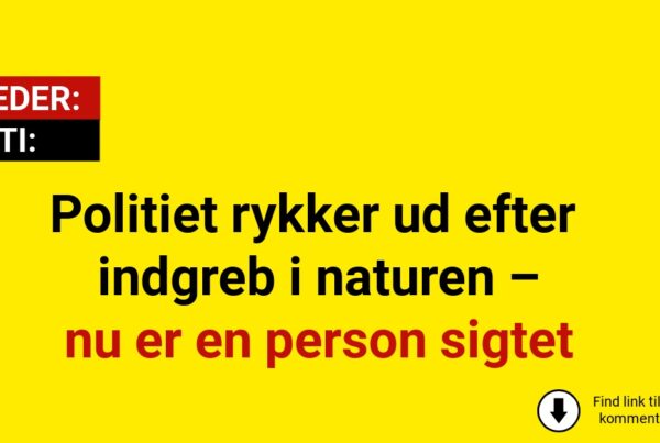Politiet rykker ud efter indgreb i naturen – nu er en person sigtet