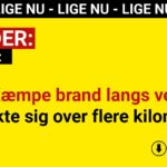 Kæmpe brand langs vej: Strakte sig over flere kilometer