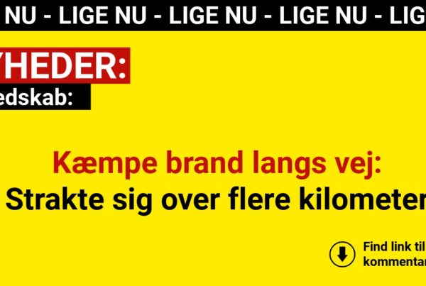 Kæmpe brand langs vej: Strakte sig over flere kilometer