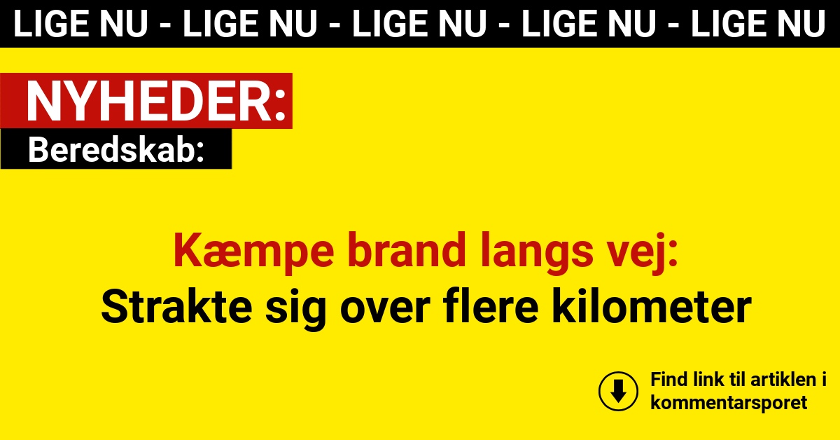 Kæmpe brand langs vej: Strakte sig over flere kilometer