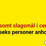 Voldsomt slagsmål i centrum – seks personer anholdt
