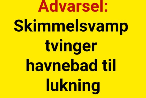 Advarsel: Skimmelsvamp tvinger havnebad til lukning