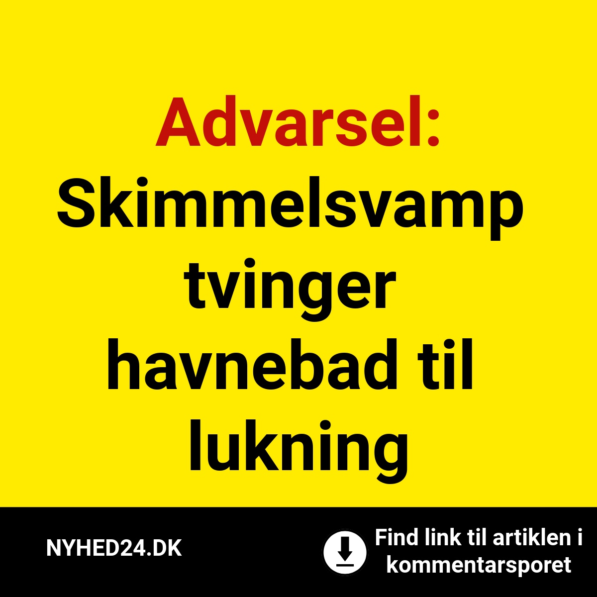 Advarsel: Skimmelsvamp tvinger havnebad til lukning