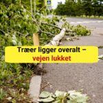 Træer ligger overalt – vejen lukket