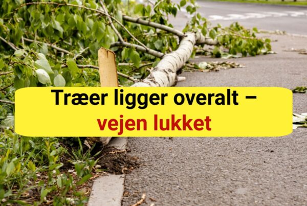 Træer ligger overalt – vejen lukket
