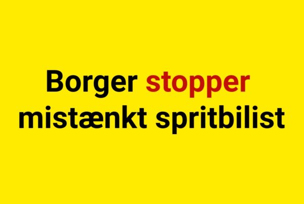 Borger stopper mistænkt spritbilist