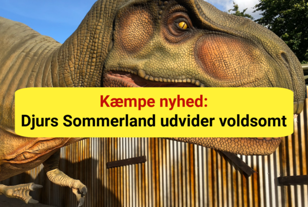 Kæmpe nyhed: Djurs Sommerland udvider voldsomt