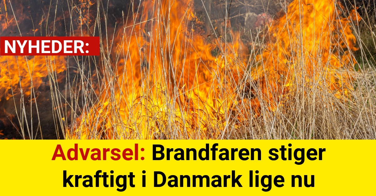 Advarsel: Brandfaren stiger kraftigt i Danmark lige nu