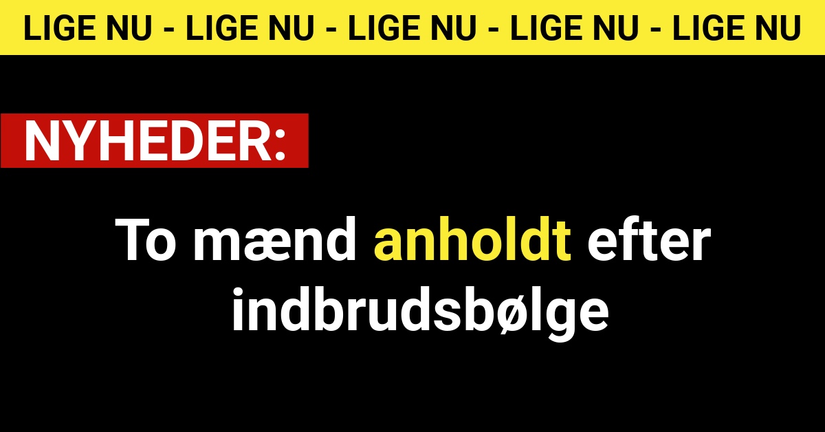 To mænd anholdt efter indbrudsbølge