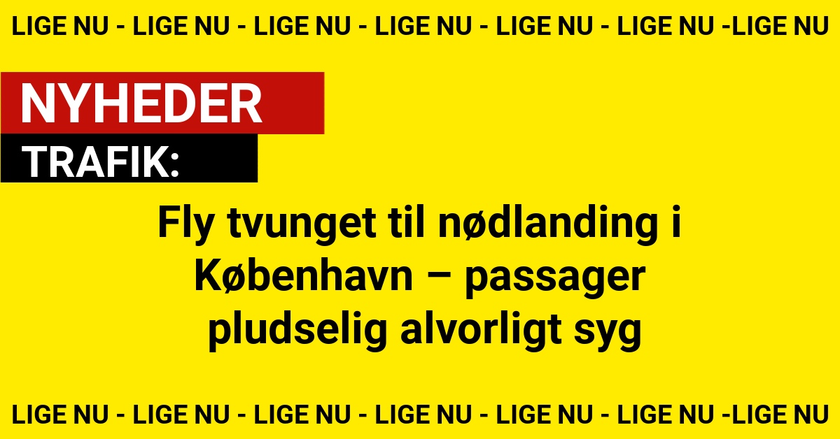 Fly tvunget til nødlanding i København – passager pludselig alvorligt syg