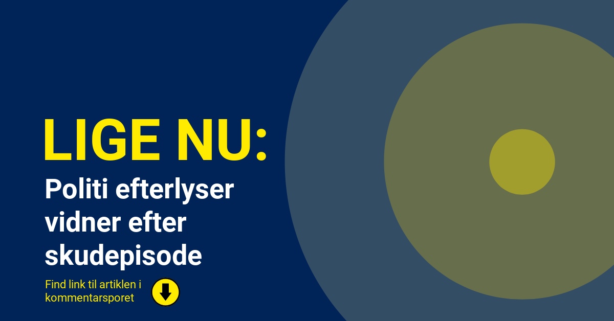 Politi efterlyser vidner efter skudepisode