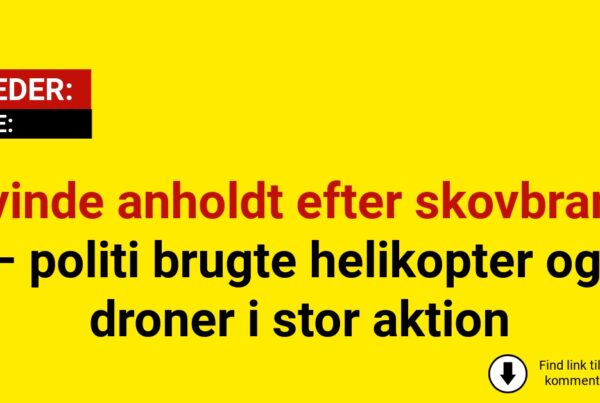 Kvinde anholdt efter skovbrand – politi brugte helikopter og droner i stor aktion