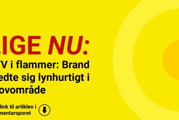 ATV i flammer: Brand bredte sig lynhurtigt i skovområde