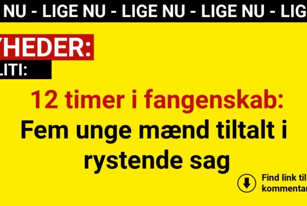 12 timer i fangenskab: Fem unge mænd tiltalt i rystende sag