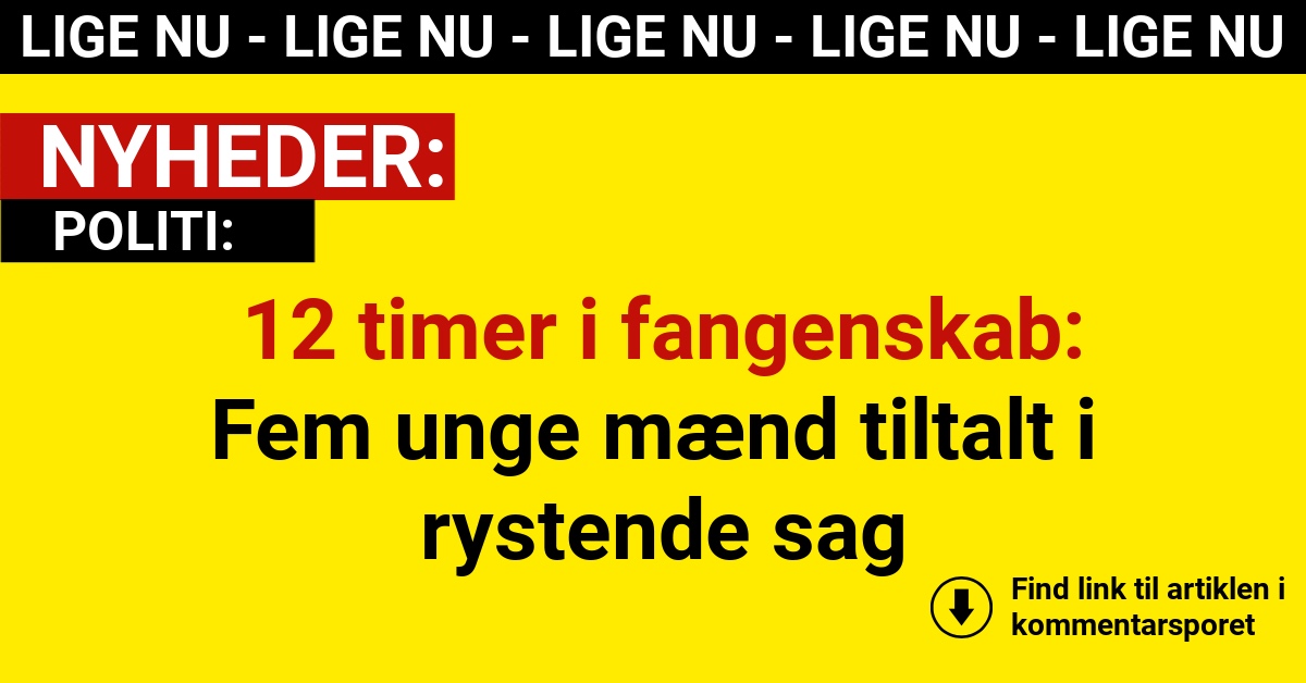 12 timer i fangenskab: Fem unge mænd tiltalt i rystende sag