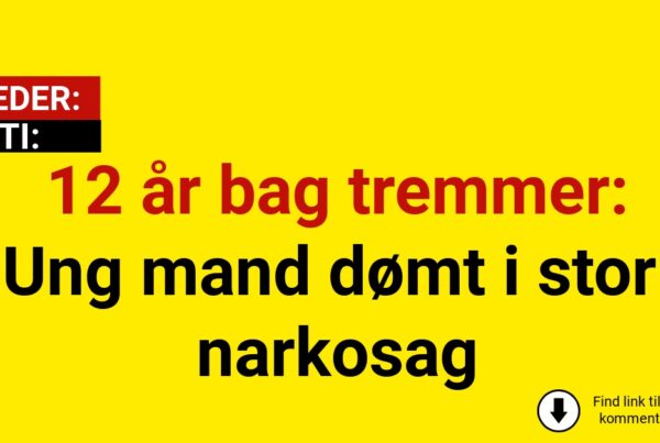 12 år bag tremmer: Ung mand dømt i stor narkosag
