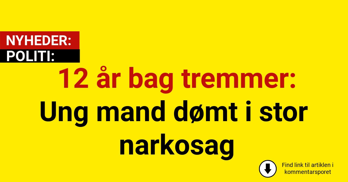 12 år bag tremmer: Ung mand dømt i stor narkosag