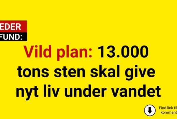 Vild plan: 13.000 tons sten skal give nyt liv under vandet