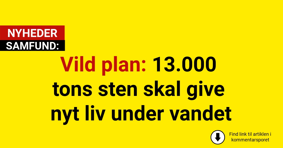 Vild plan: 13.000 tons sten skal give nyt liv under vandet