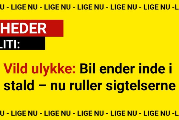 Vild ulykke: Bil ender inde i stald – nu ruller sigtelserne