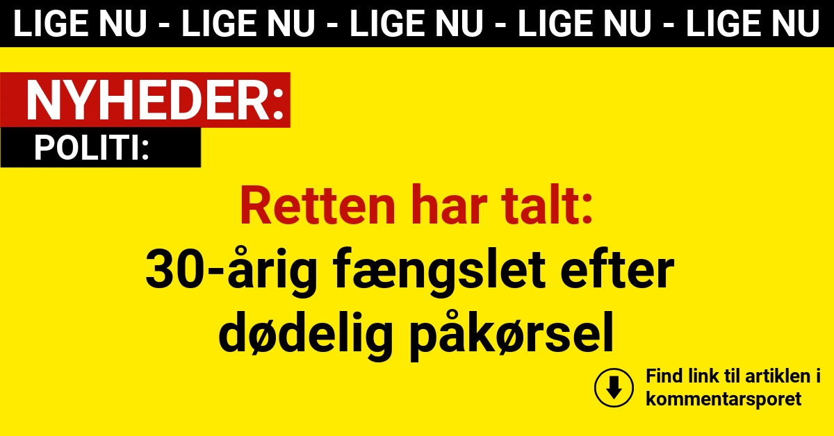 Retten har talt: 30-årig fængslet efter dødelig påkørsel