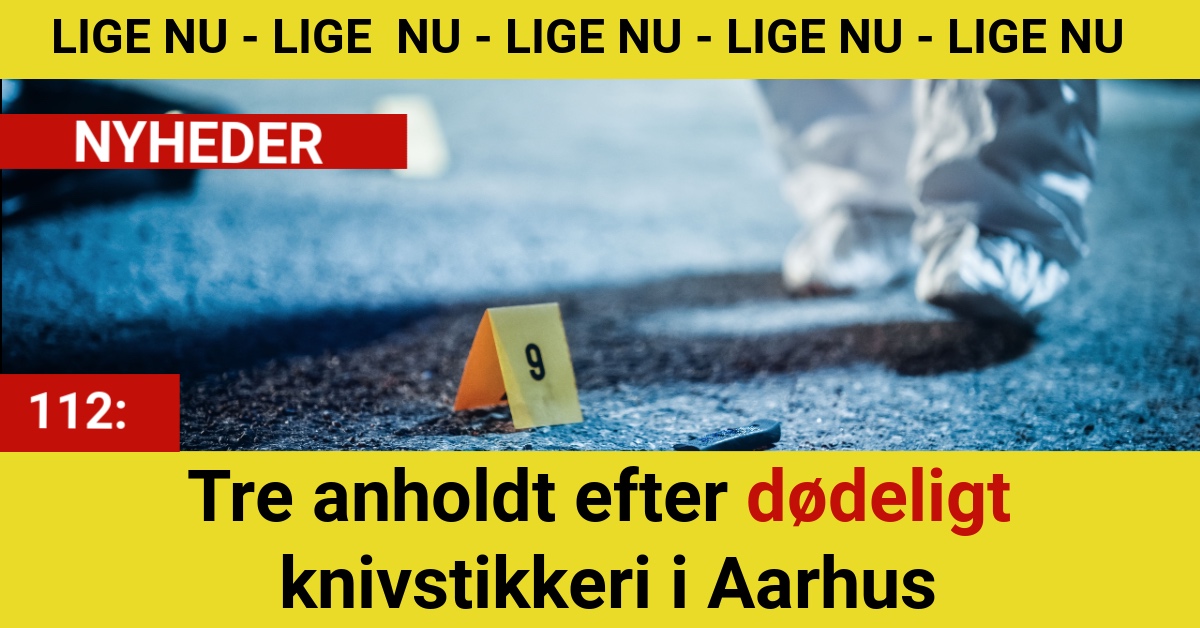 Tre anholdt efter dødeligt knivstikkeri i Aarhus