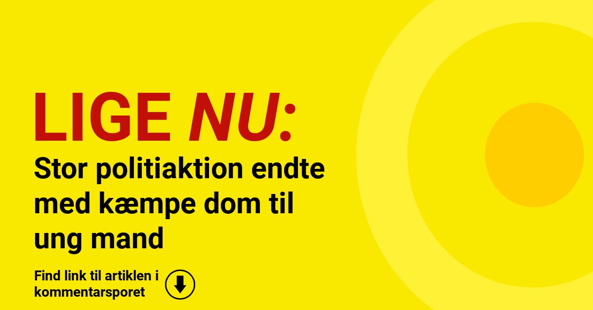 Stor politiaktion endte med kæmpe dom til ung mand