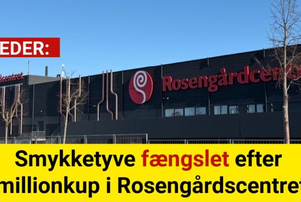 Smykketyve fængslet efter millionkup i Rosengårdscentret