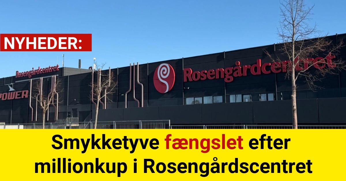 Smykketyve fængslet efter millionkup i Rosengårdscentret