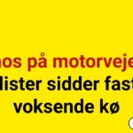 Kaos på motorvejen: Bilister sidder fast i voksende kø