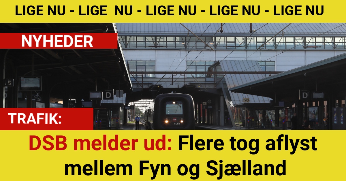 DSB melder ud: Flere tog aflyst mellem Fyn og Sjælland
