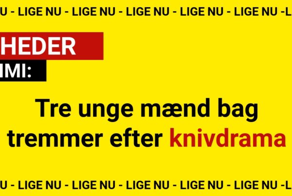 Tre unge mænd bag tremmer efter knivdrama