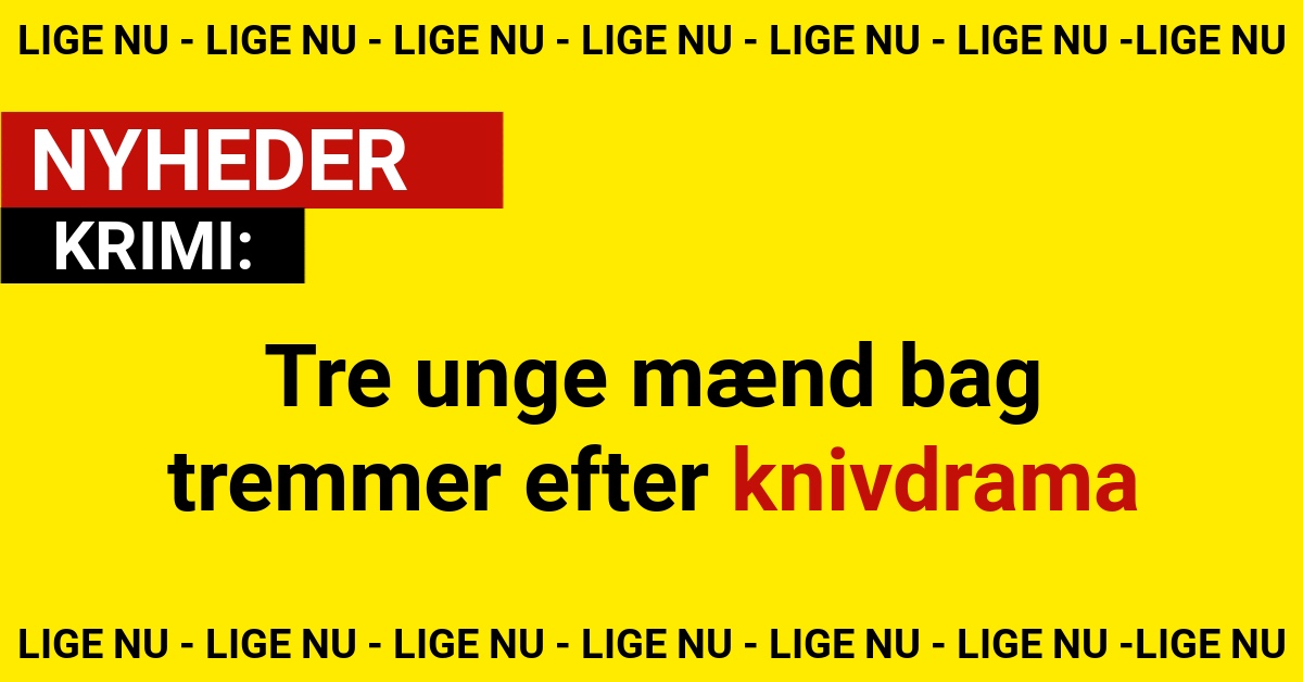 Tre unge mænd bag tremmer efter knivdrama