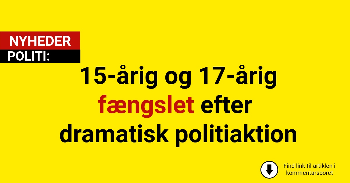 15-årig og 17-årig fængslet efter dramatisk politiaktion