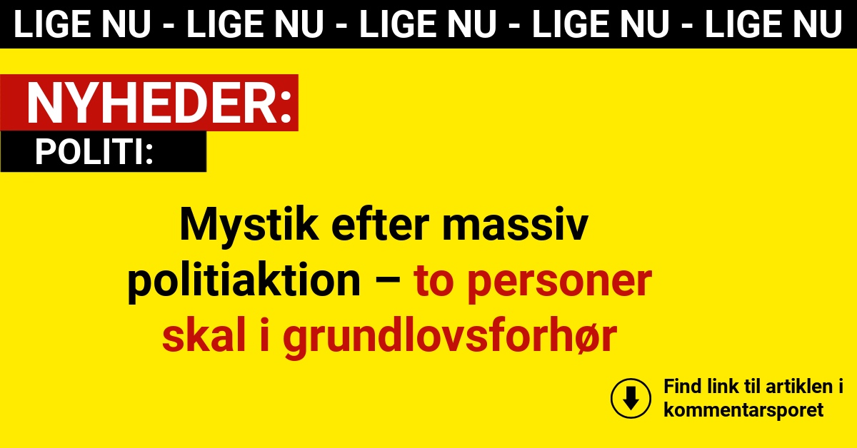 Mystik efter massiv politiaktion – to personer skal i grundlovsforhør