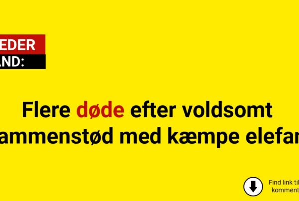 Flere døde efter voldsomt sammenstød med kæmpe elefant