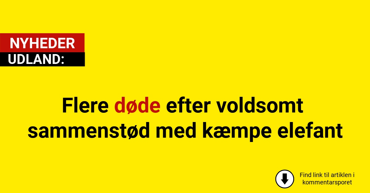 Flere døde efter voldsomt sammenstød med kæmpe elefant