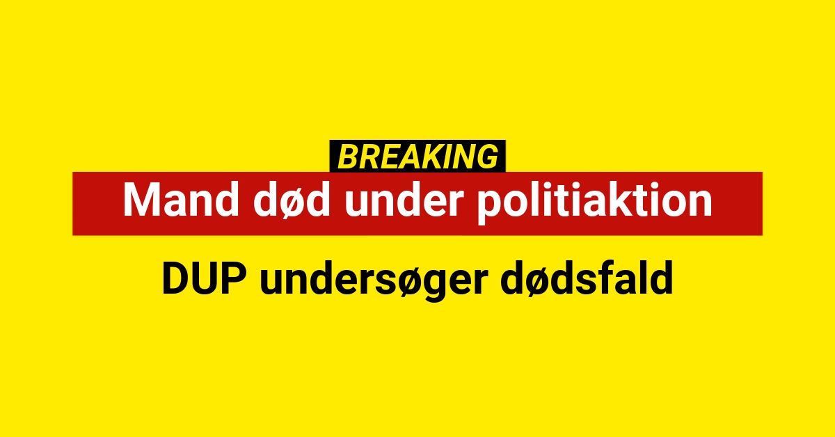 Mand død under politiaktion - DUP undersøger dødsfald