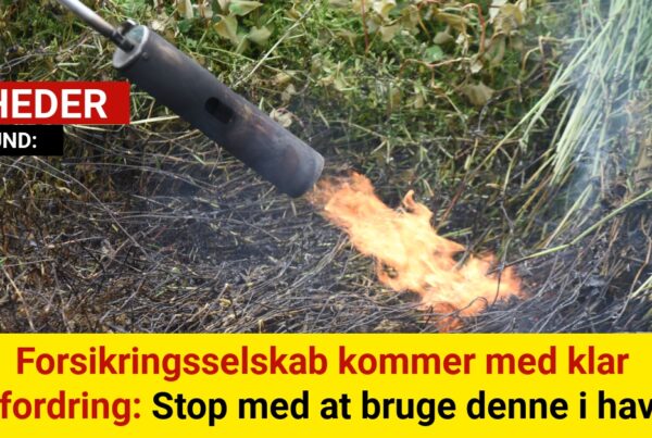 Forsikringsselskab kommer med klar opfordring: Stop med at bruge denne i haven