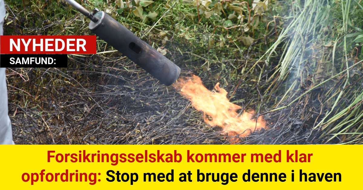 Forsikringsselskab kommer med klar opfordring: Stop med at bruge denne i haven