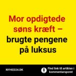Mor opdigtede søns kræft – brugte pengene på luksus