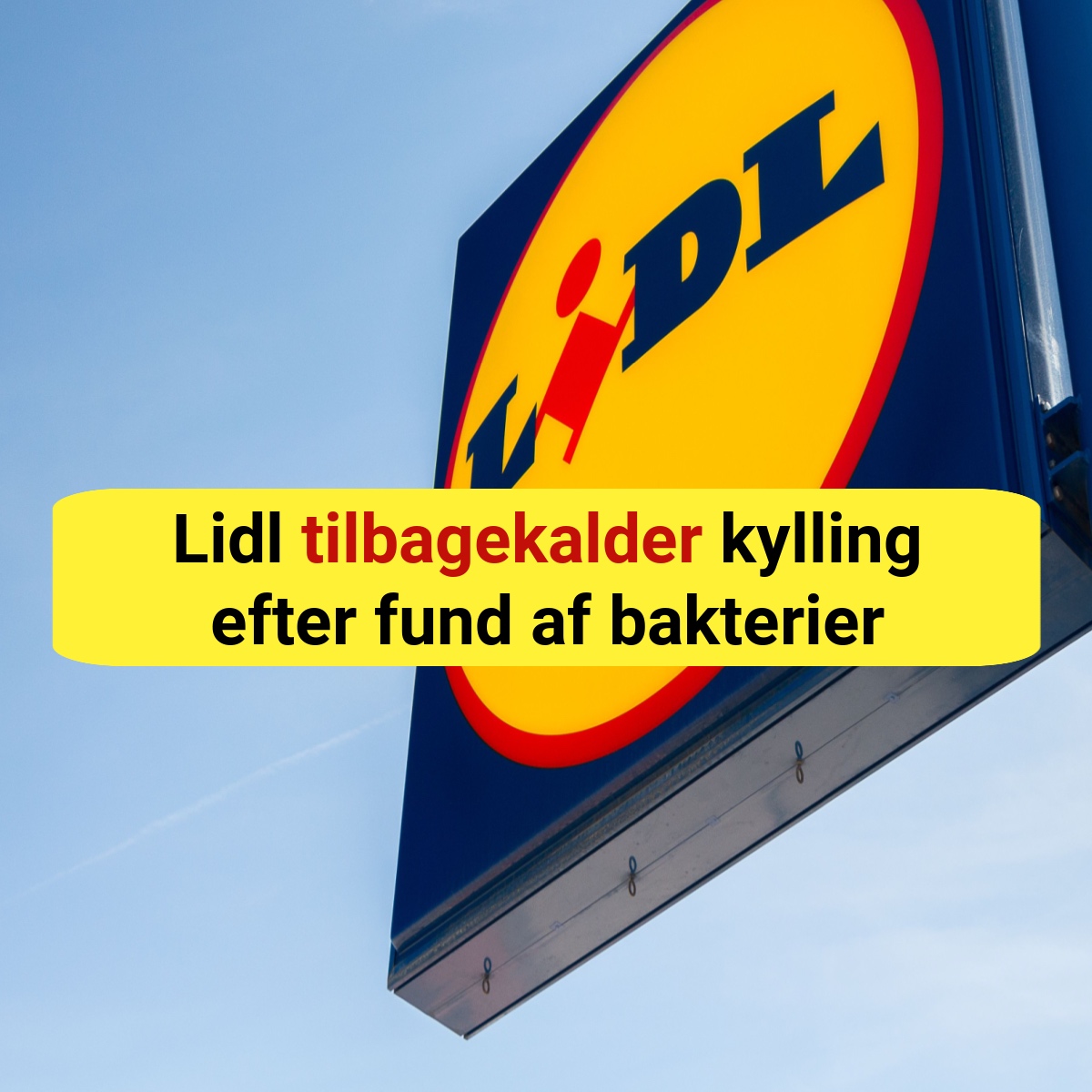 Lidl tilbagekalder kylling efter fund af bakterier