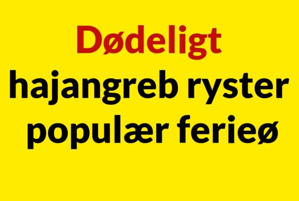 Dødeligt hajangreb ryster populær ferieøDødeligt hajangreb ryster populær ferieø