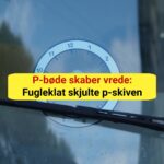 P-bøde skaber vrede: Fugleklat skjulte p-skiven